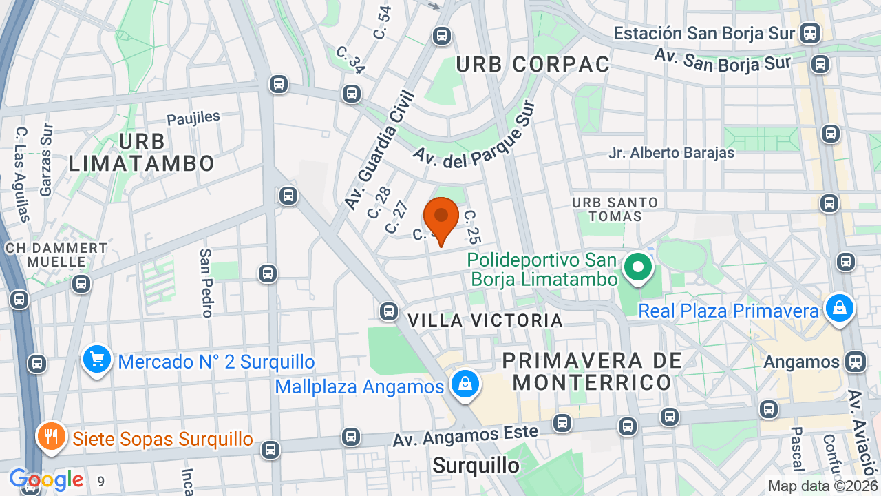 Ubicación aproximada en San Isidro