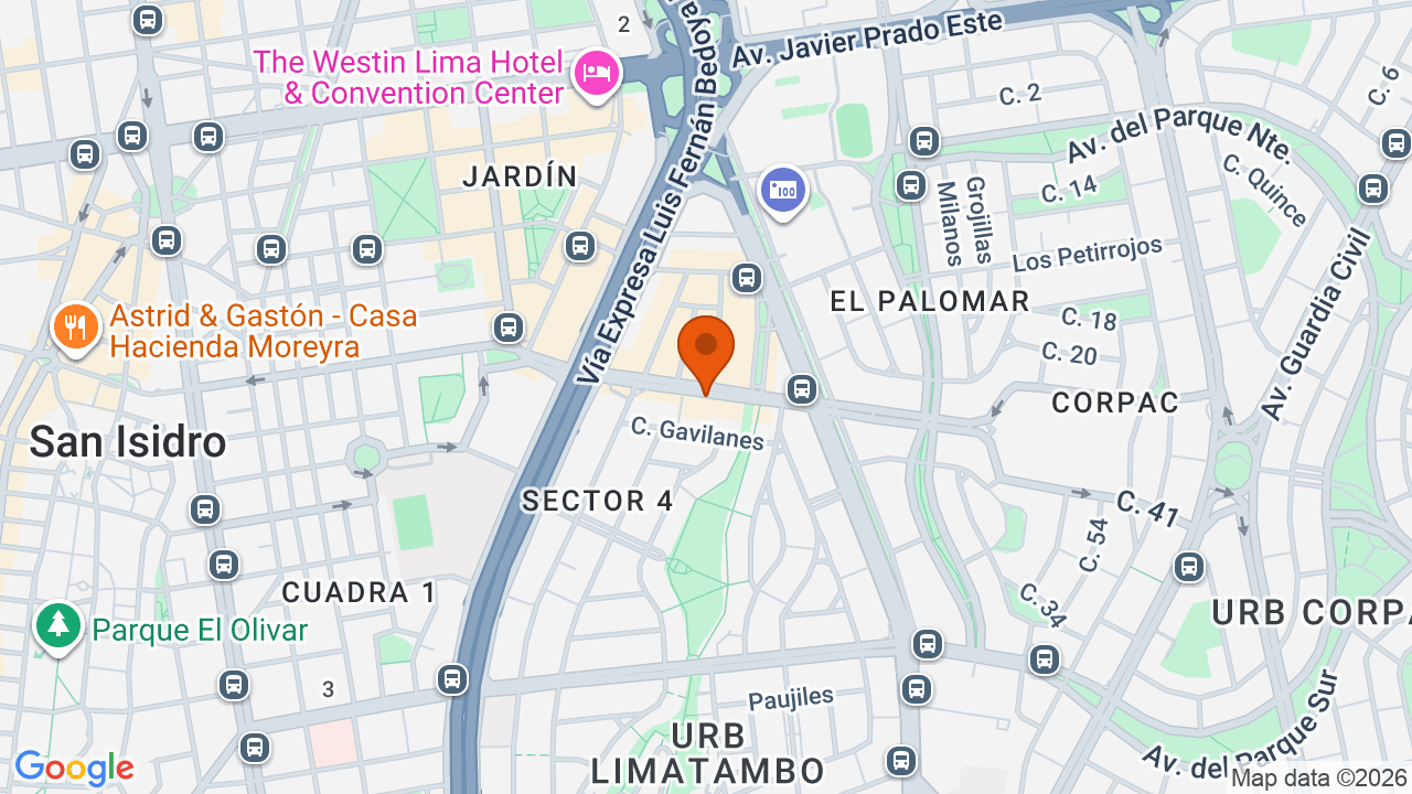 Ubicación aproximada en San Isidro