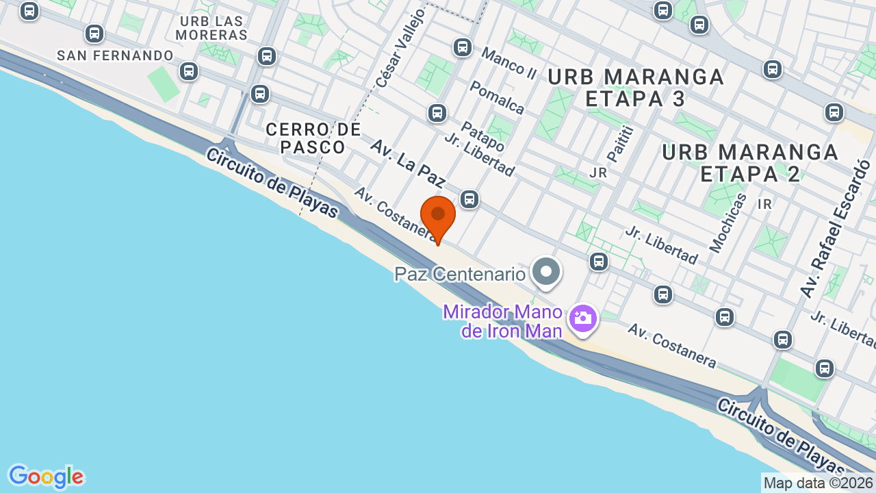 Ubicación aproximada en San Miguel