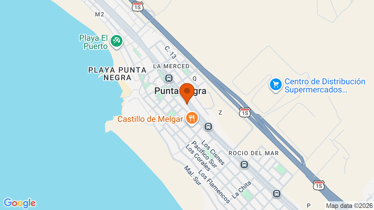 Ubicación aproximada en Punta Negra