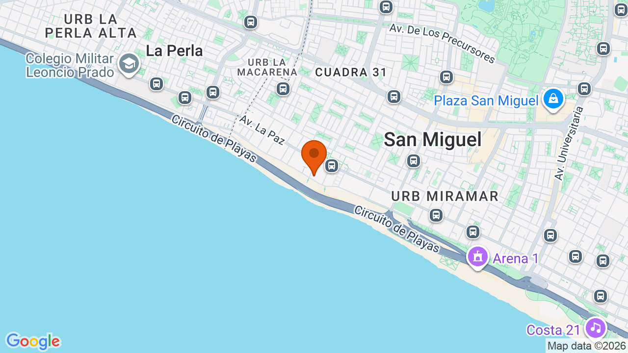 Ubicación aproximada en San Miguel