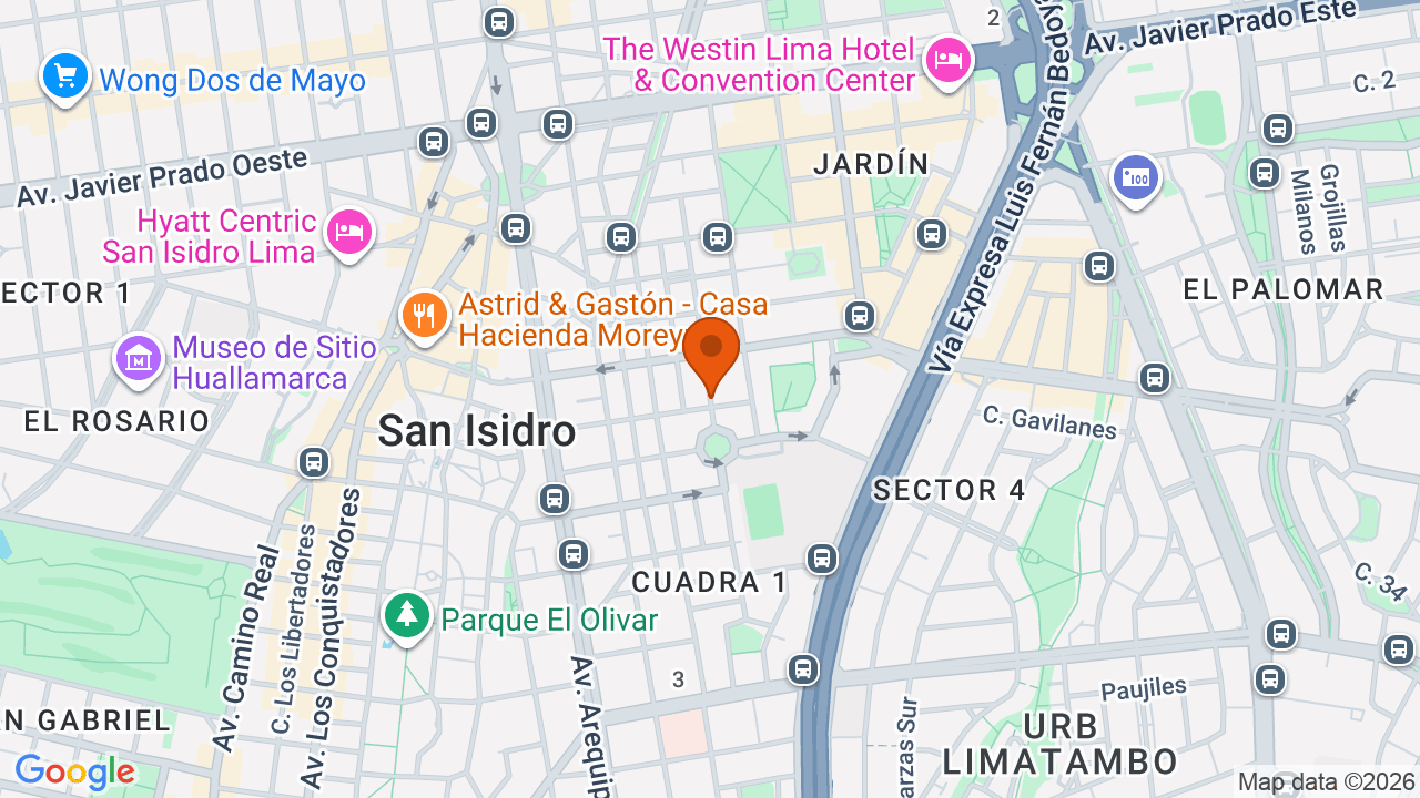 Ubicación aproximada en San Isidro