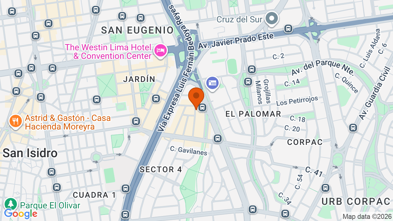 Ubicación aproximada en San Isidro