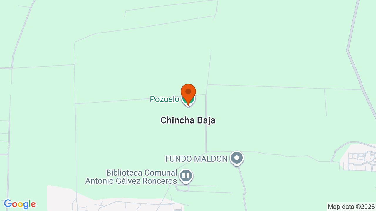 Ubicación aproximada en Chincha Baja