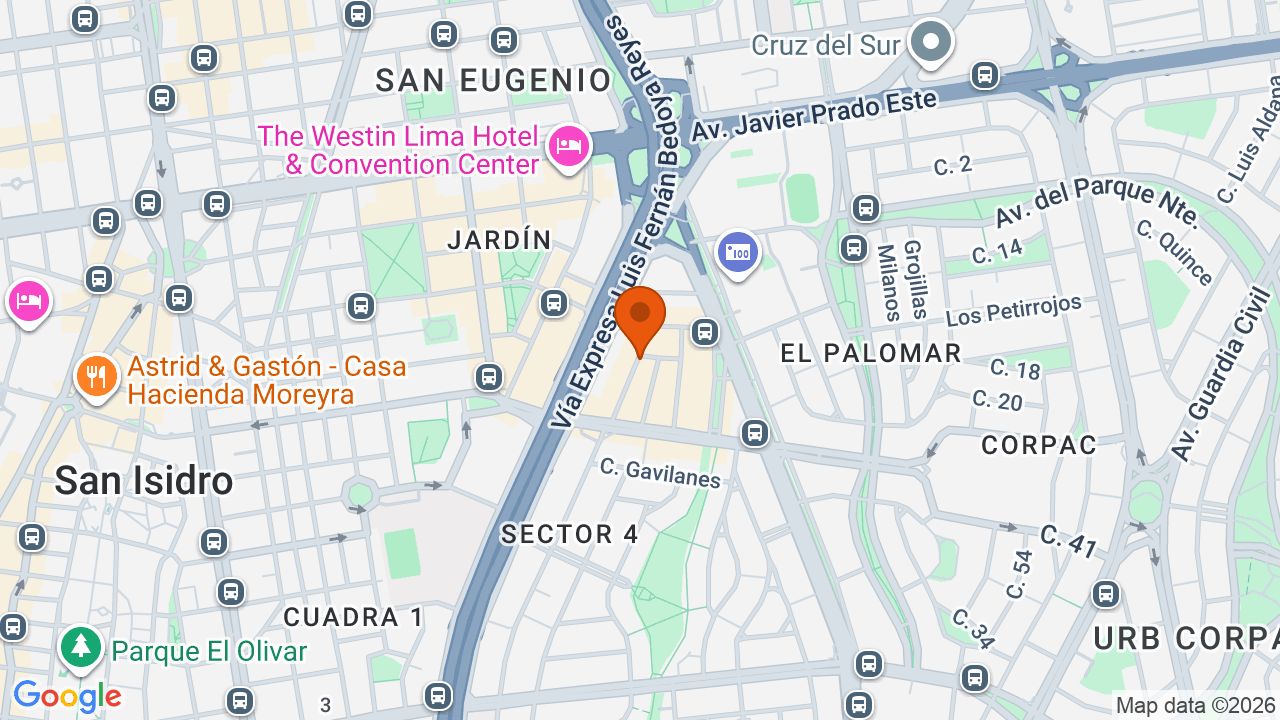 Ubicación aproximada en San Isidro