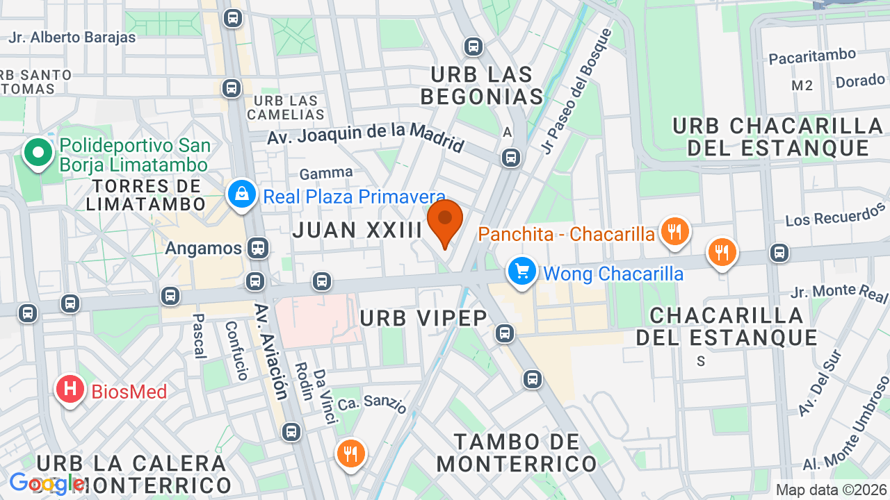 Ubicación aproximada en San Borja
